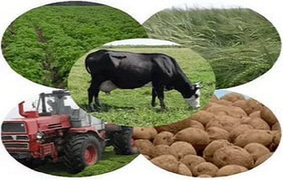 «Аграрлық несие корпорациясы» ЭКСПО-2017 барысында жүлделерді ұтысқа салады