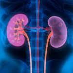 Бүйректе тас пайда болуына әкелетін азықтар