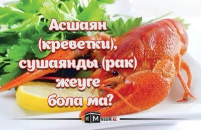 Асшаян (креветки), сушаянды (рак) жеуге бола ма? Асшаян (креветки), сушаянды (рак) жеуге бола ма?