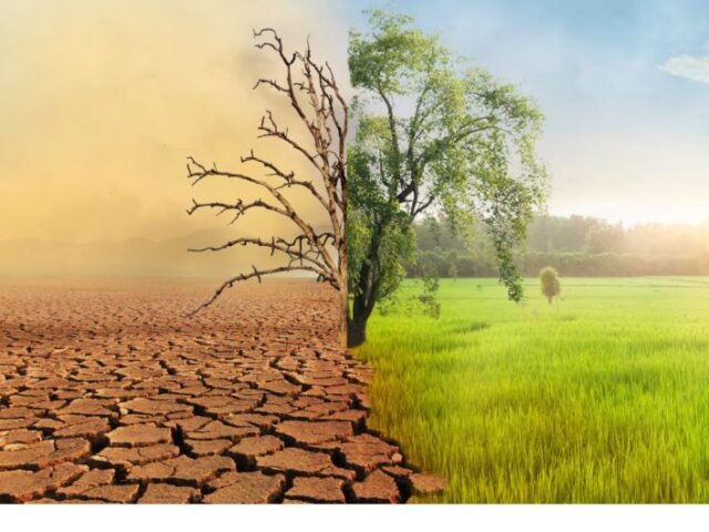 Биылғы ауа температурасы да ең ыстық жылдардың қатарында… Биылғы ауа температурасы да ең ыстық жылдардың қатарында…