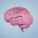 Ми қызметін жақсарта түсетін азықтар