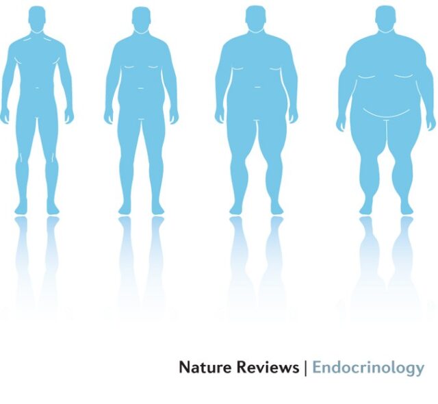 Ересектердің жартысынан астамы артық салмаққа ұшырайды Ересектердің жартысынан астамы артық салмаққа ұшырайды