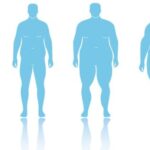 Ересектердің жартысынан астамы артық салмаққа ұшырайды