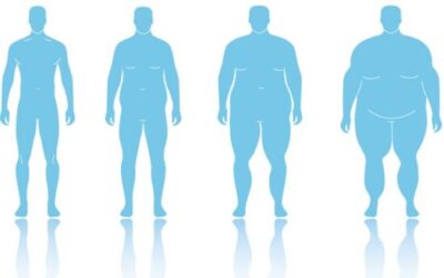 Ересектердің жартысынан астамы артық салмаққа ұшырайды Ересектердің жартысынан астамы артық салмаққа ұшырайды