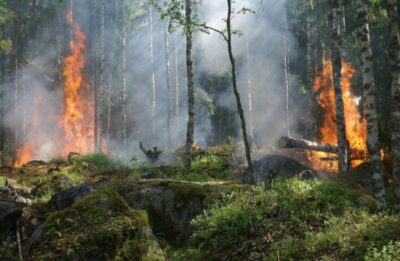 Еуропа елдері: өрт шығыны €3 миллиардтың үстіне шықты
